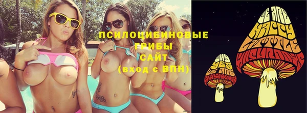 дмт Мегион