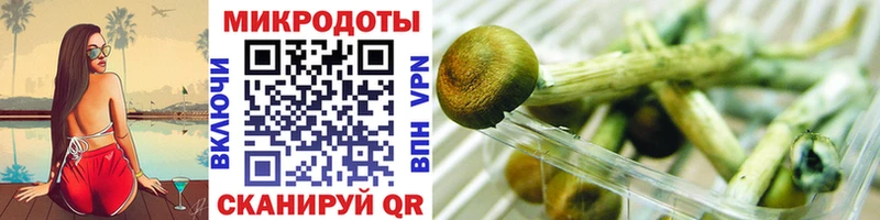 kraken онион  Советск  Галлюциногенные грибы Magic Shrooms  цена наркотик 